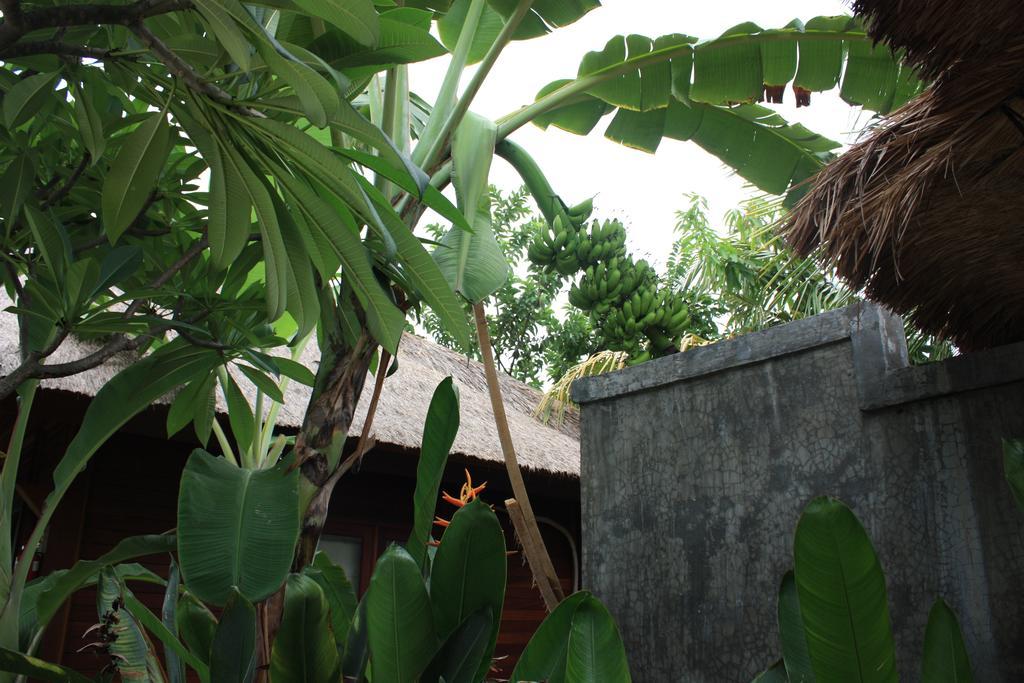 Hotel Guava Garden Gili Trawangan Exterior foto